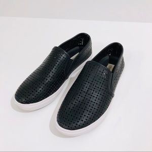 Steve Madden Eileen Sneakers in Black